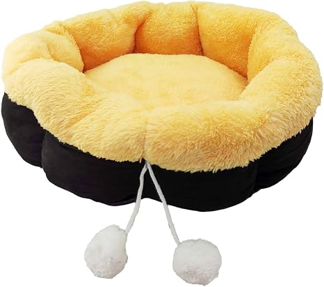 Tudo para o cachorro: o kit essencial de todo dono