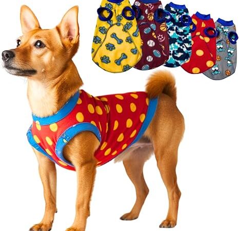 Pet no friozinho: como deixar seu bicho aquecido no inverno