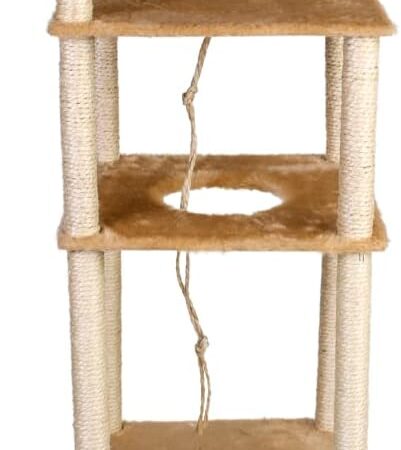 Tudo para gatos: o que todo felino exigente precisa