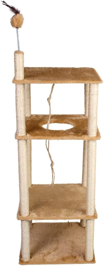 Tudo para gatos: o que todo felino exigente precisa